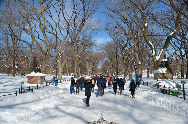 Illustration for article titled Central Park: After the Storm